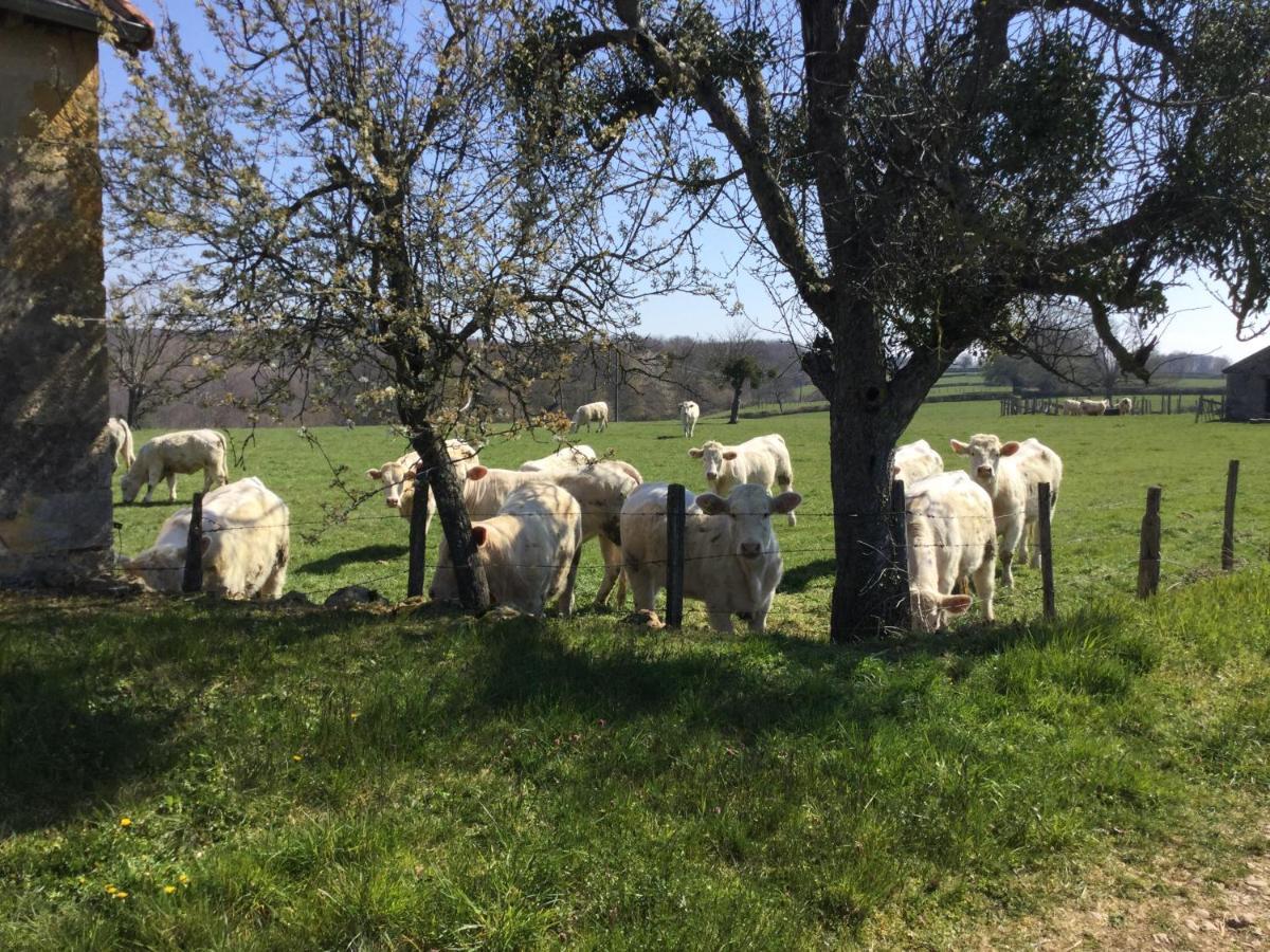 Gite De Belle Vue Semur-en-Brionnais Exteriér fotografie