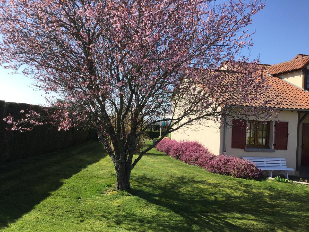 Gite De Belle Vue Semur-en-Brionnais Exteriér fotografie